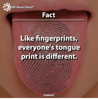 Fun - Like fingerprints, everyone´s tongue print is different - Montealto in English